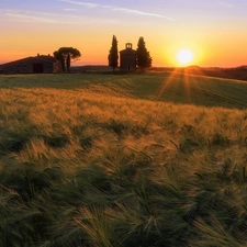 house, tower, Italy, belfry, Tuscany, corn, Field, Great Sunsets