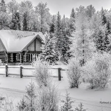 house, winter, forest