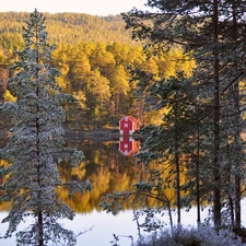 house, woods, lake