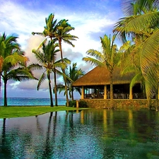 house, sea, Palms