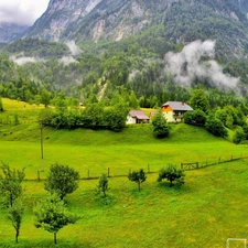 Houses, Fog, woods, field, Mountains