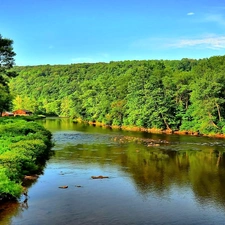 summer, River, Houses, Forest Meadow