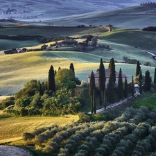 The Hills, Italy, Houses, field, cypresses, Tuscany