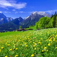 Mountains, Meadow, Houses, Spring, woods, Flowers