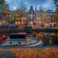 canal, Amsterdam, viewes, Houses, Netherlands, trees, autumn