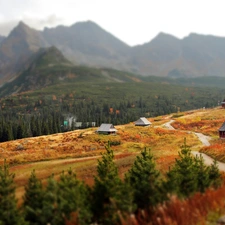 Houses, Mountains, Way