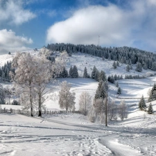 trees, Mountains, Houses, winter, viewes, woods