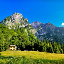 Houses, Mountains, woods