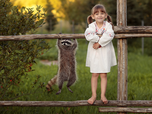raccoon, Hurdle, White, dress, girl
