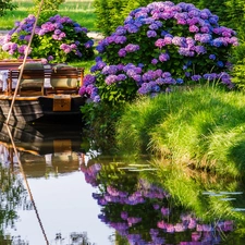 Flowers, River, Boat, hydrangea