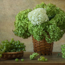 composition, Grapes, Baskets, hydrangeas