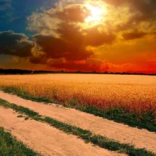 imminent, clouds, Field, cereals, Way