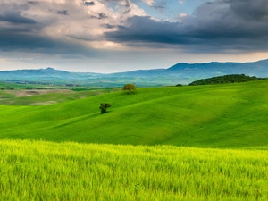 woods, medows, Tuscany, Italy, horizon, Mountains