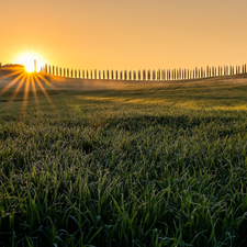 Sunrise, rays of the Sun, cypresses, The Hills, viewes, Italy, Tuscany, trees