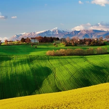 Spring, Mountains, Italy, field