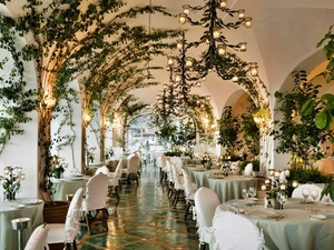 ivy, Restaurant, bows