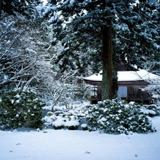 winter, Home, Japan, forest