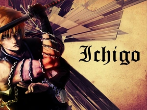 katana, Kurosaki, Ichigo