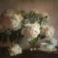 kettle, Peonies, cup