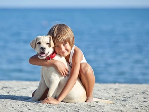 Beaches, water, Puppy, Labrador Retriever, Kid