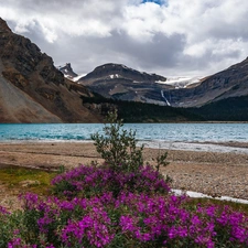 Province of Alberta, Canada, Banff National Park, Bow Lake, Flowers, clouds, trees, viewes, Mountains