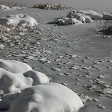 Icecream, frozen, lake, snow