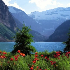 lake, papavers, Mountains