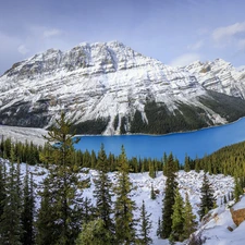 Banff National Park, Canada, Mountains, winter, Peyto Lake