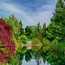 Park, viewes, lake, trees