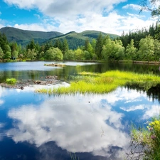 forest, England, Sky, Mountains, Scotland, lake, reflection