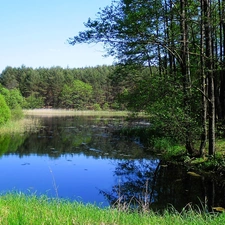 Spring, viewes, lake, trees