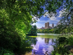 Manhattan District, City Park Central Park, viewes, lake, trees, New York, The United States, skyscraper