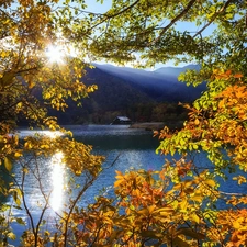 trees, Mountains, rays of the Sun, autumn, viewes, lake