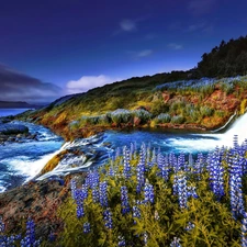 lakes, The Hills, lupine, trees, Flowers, inflow, River, viewes