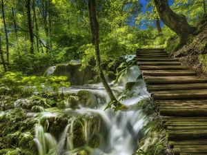 forest, waterfall, VEGETATION, Moss, Stairs, Plitvice Lakes National Park, Coartia, wood