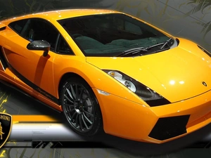 Lamborghini Gallardo