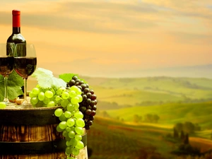 Wine, Bottle, barrel, landscape, Grapes, glasses