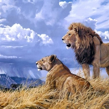 landscape, cats, lions