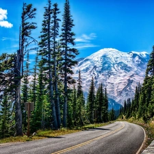 Way, Mountains, landscape, forest