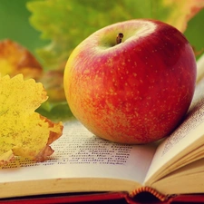 Apple, Autumn, leaf, Book