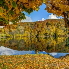 Leaf, autumn, Mountains, woods, lake