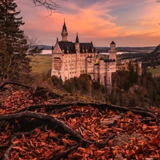 Bavaria, Germany, Neuschwanstein Castle, trees, roots, Leaf, autumn, The Hills, viewes