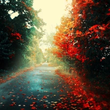 autumn, Red, Leaf, Way