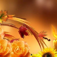 autumn, Nice sunflowers, Leaf, roses