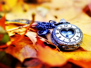 Leaf, Watch, Autumn
