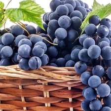 Leaf, Grapes, basket