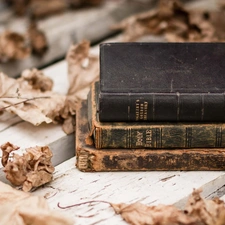 Leaf, Bible, Bench