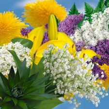 Leaf, Flowers, bouquet