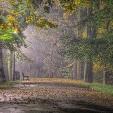 flash, Bench, Przebijaj?ce, Fog, ligh, Park, Leaf, autumn, luminosity, sun