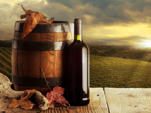 barrel, Leaf, sun, Wine, west